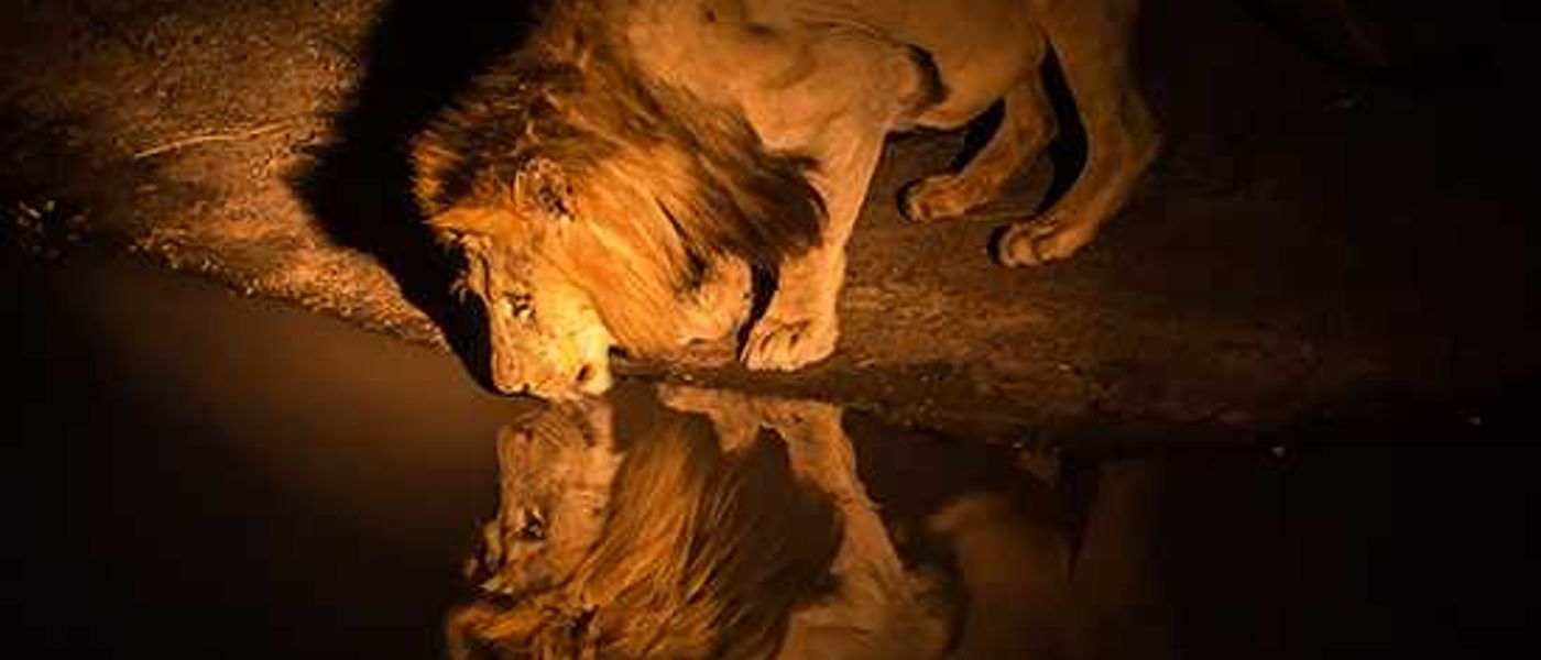 South Africa: What Lies Beyond...