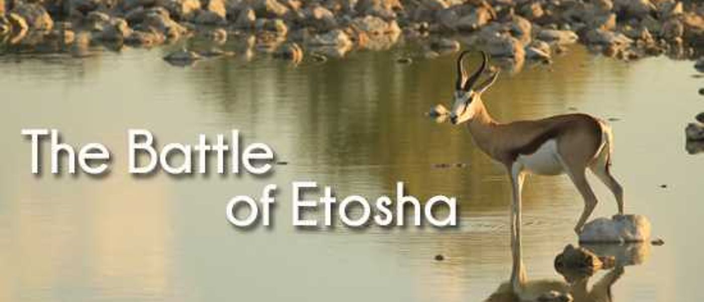 Where To Stay in Etosha National Park