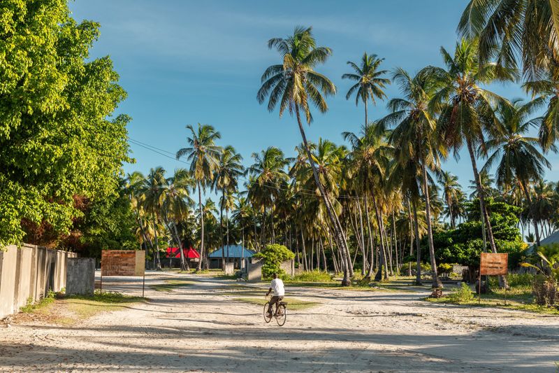 Street with palm trees in Jambiani town Zanzibar