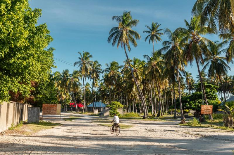 Street with palm trees in Jambiani town Zanzibar