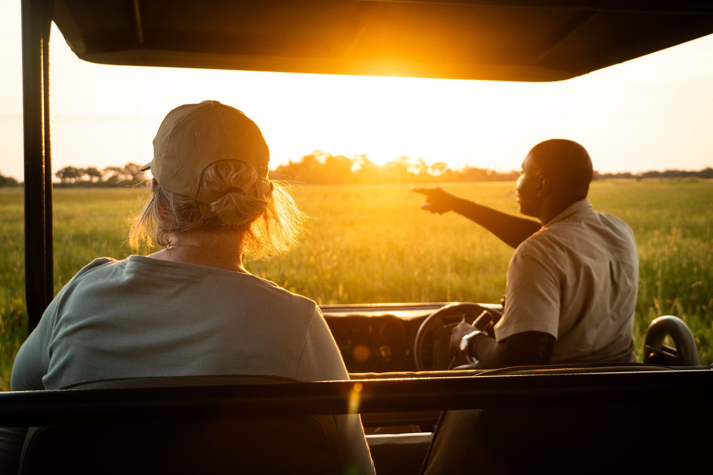 Luxury That Protects: Africa's Safari Revolution