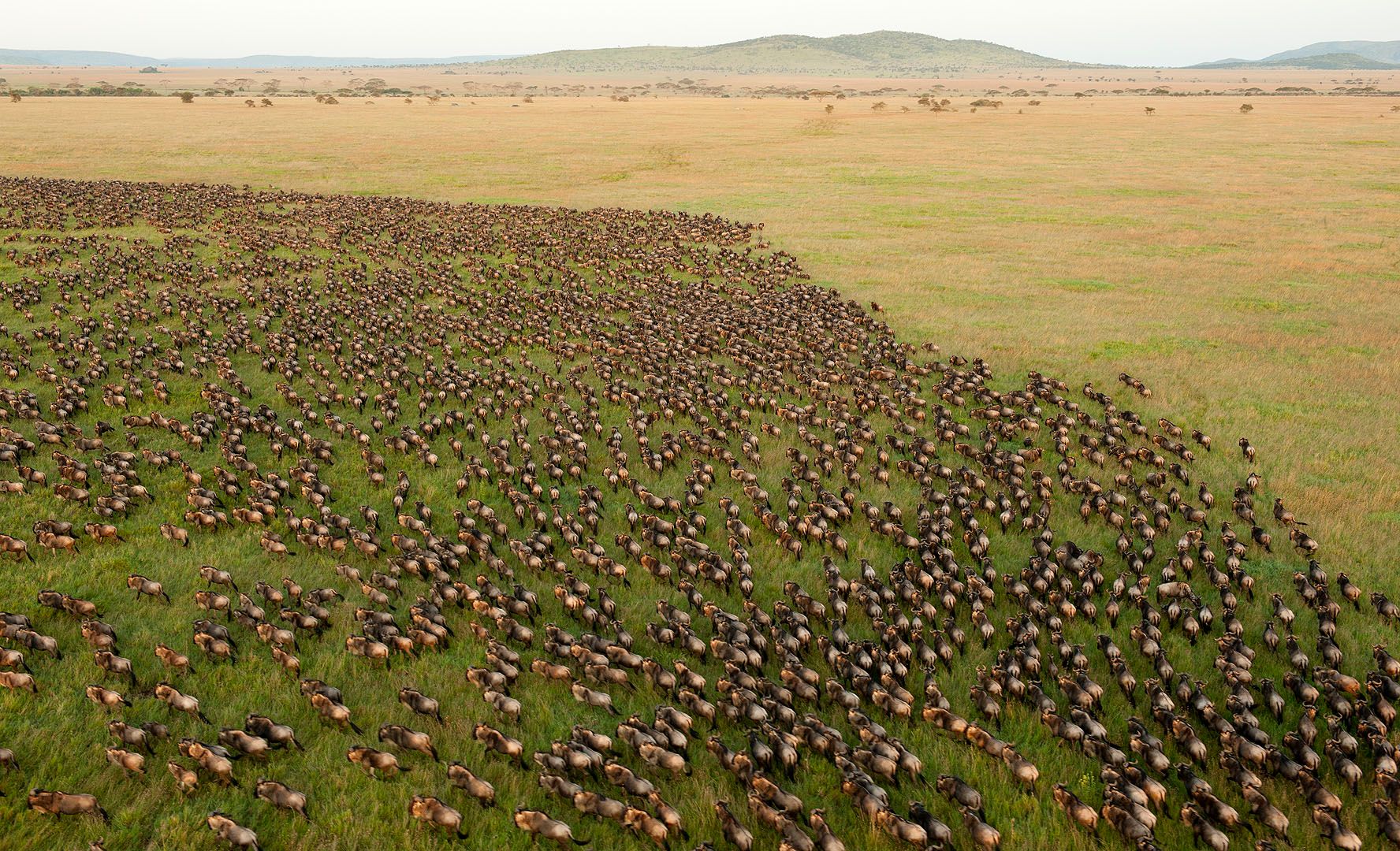 5 Ways Africa changes you