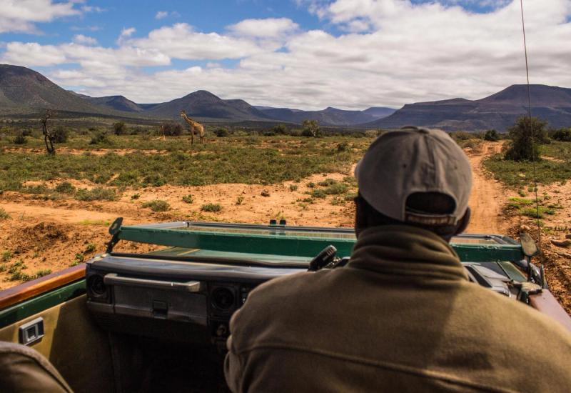 on a safari game drive at Samara Game Reserve