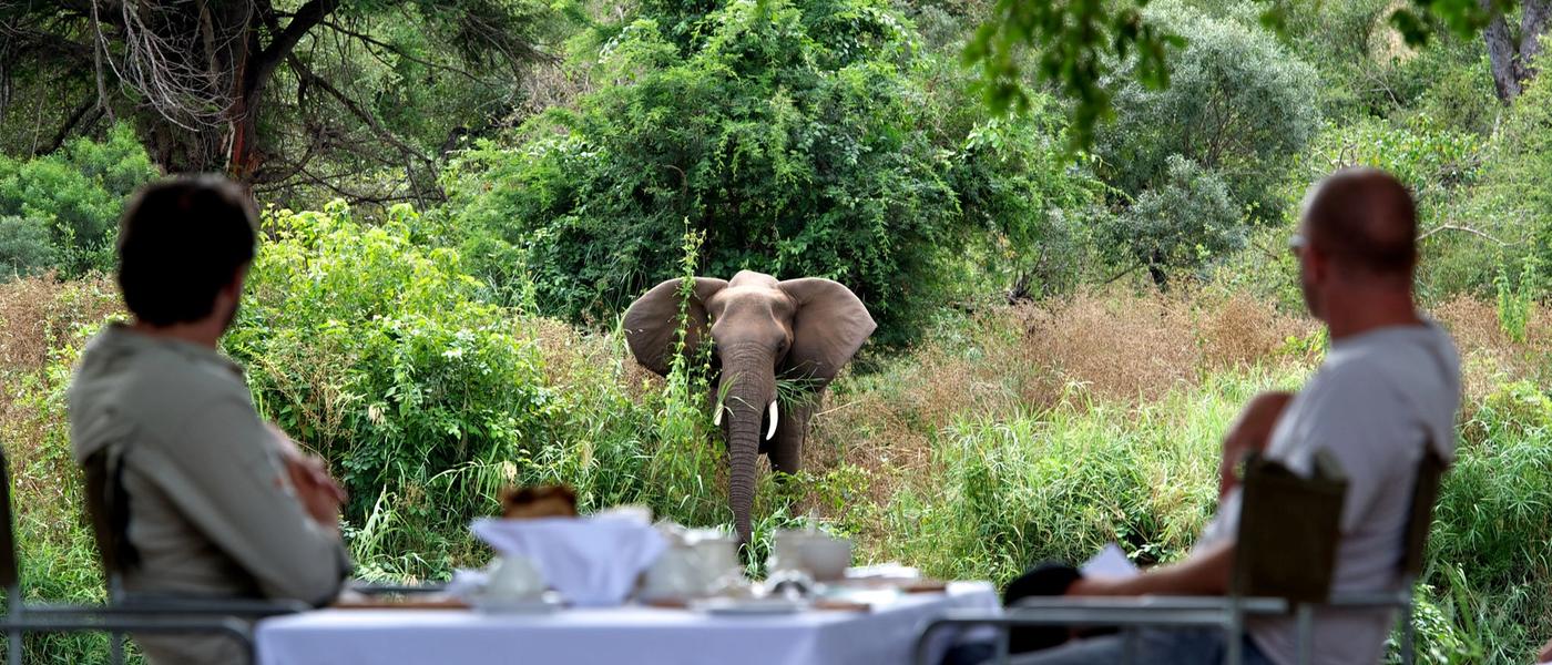 Les temps forts d’un safari à Singita