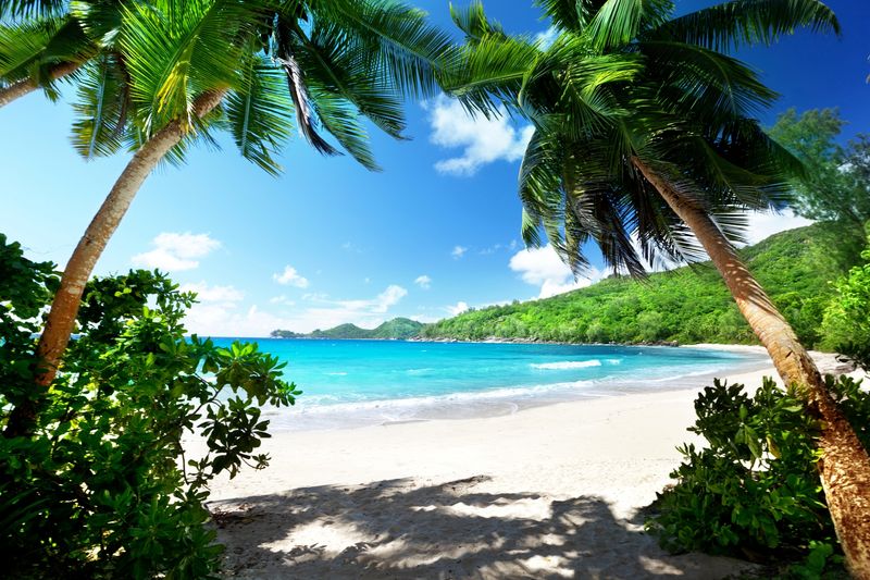 A secluded white-sand beach fringed with palm trees and turquoise water 