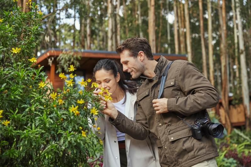 Gorillas nest lifestyle