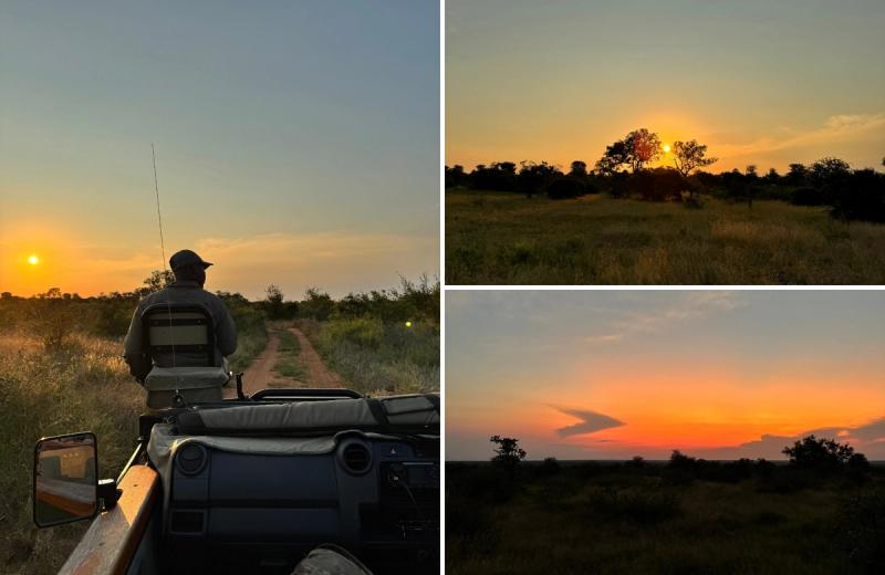 A sunset game drive through the Timbavati, with golden skies stretching across the reserve as the safari vehicle explores the bush.