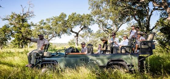 Un Safari de Lujo para Familias en Imágenes
