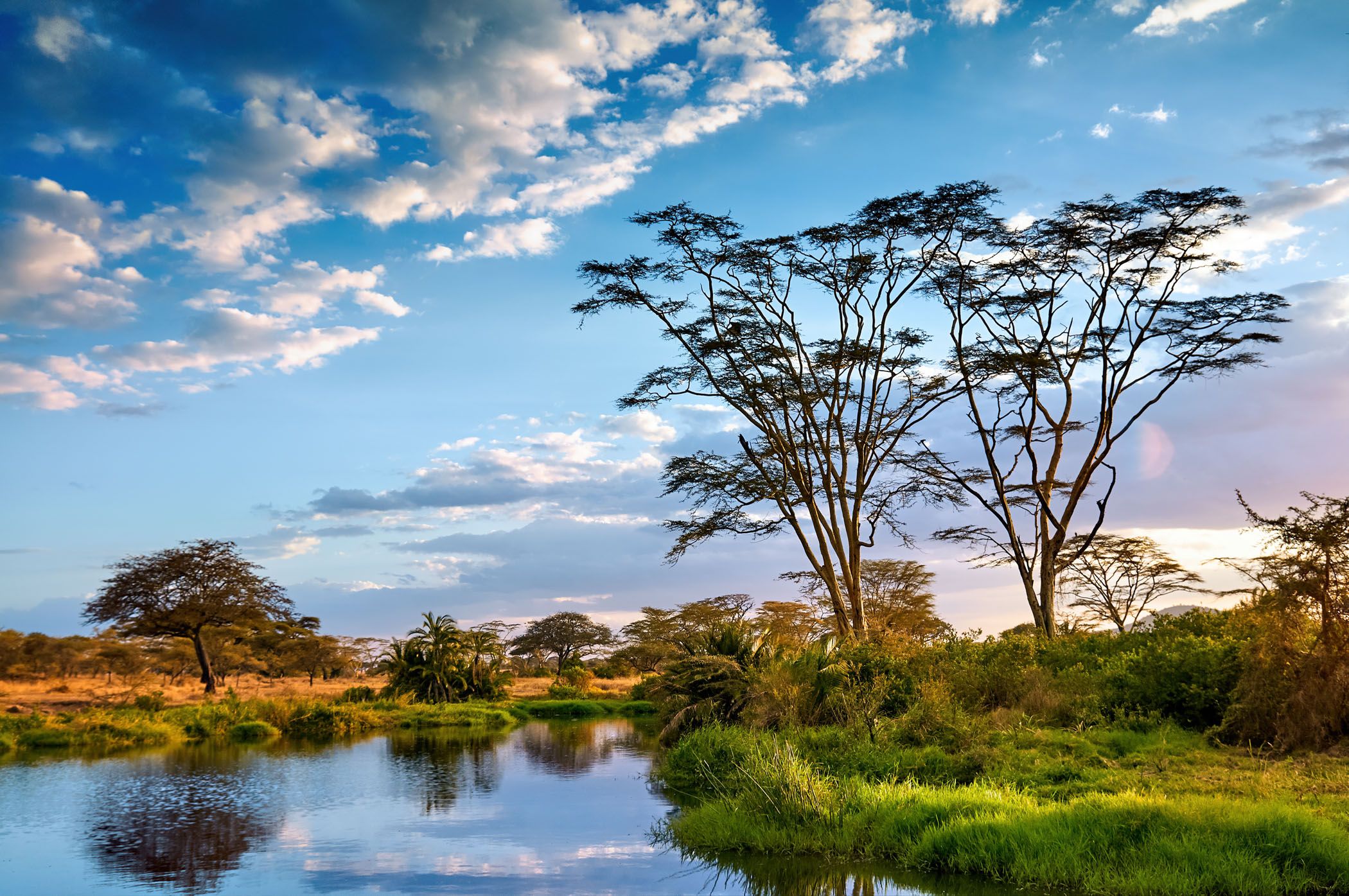 Tanzania in Pictures