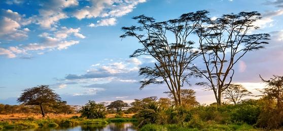 Tanzania in Pictures
