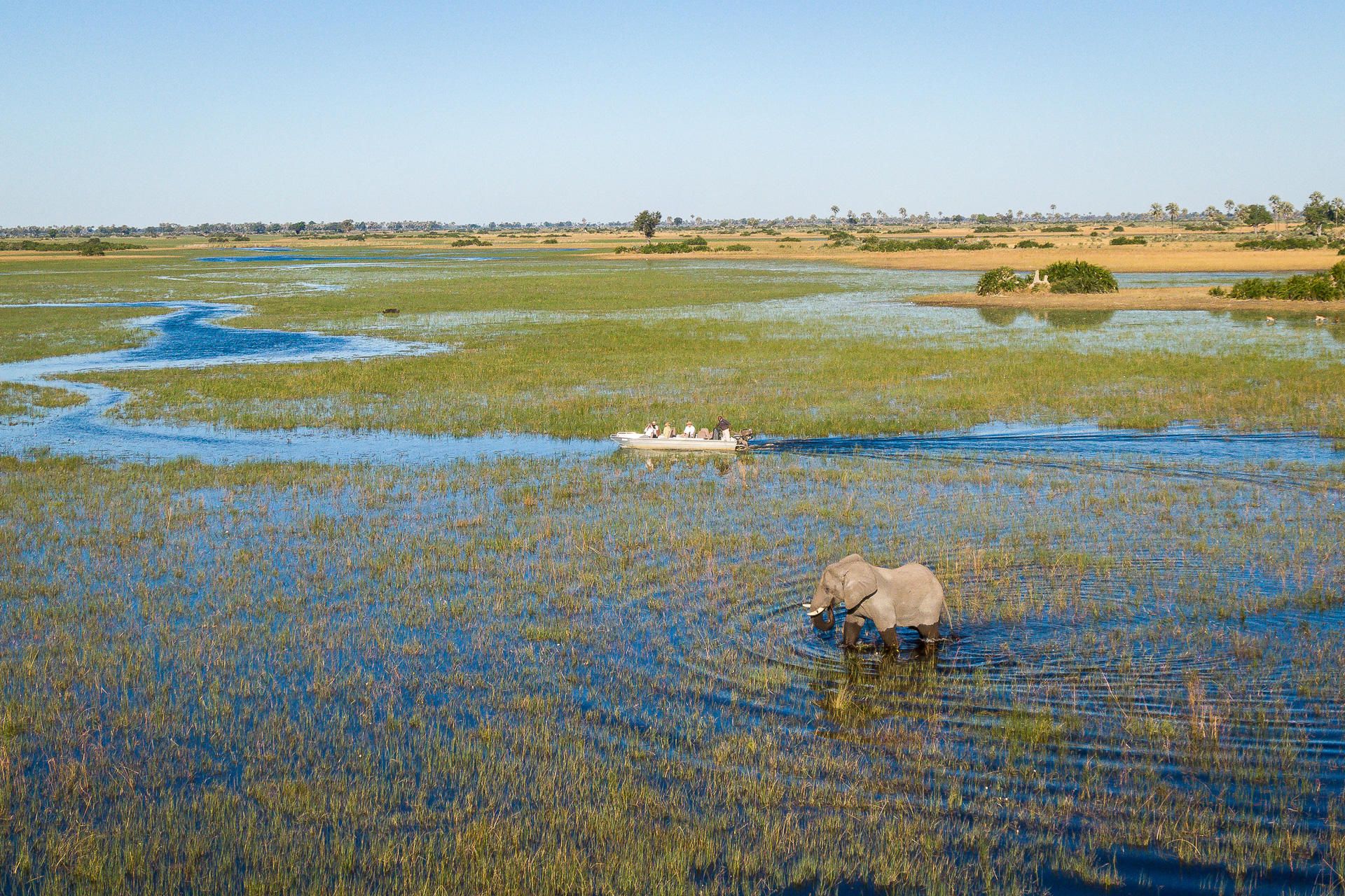 Revealing the Ripple Effect of African Travel