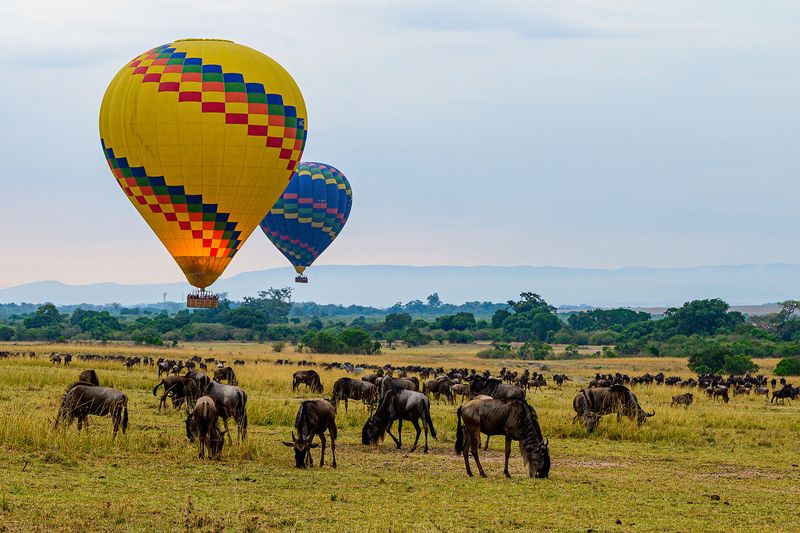 Two hot-air balloons float above wildebeest herds grazing on open plains, epitomising the spectacle of Africa in September.