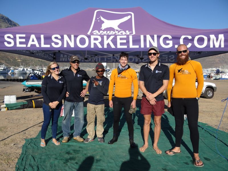 Animal Ocean team for seal snorkeling