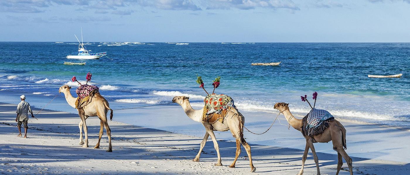 The Best Beaches in Kenya