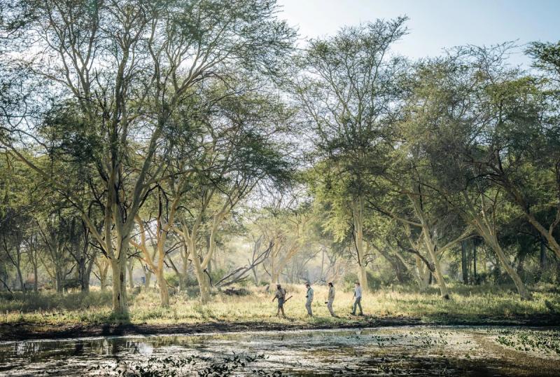 A small group of people walk quietly through open woodland beside a waterline in Gorongosa