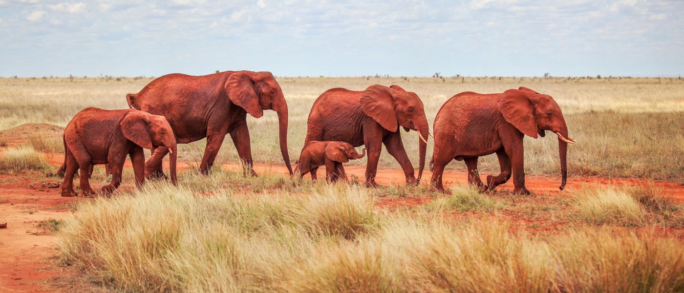 Tsavo National Park East and West Explained