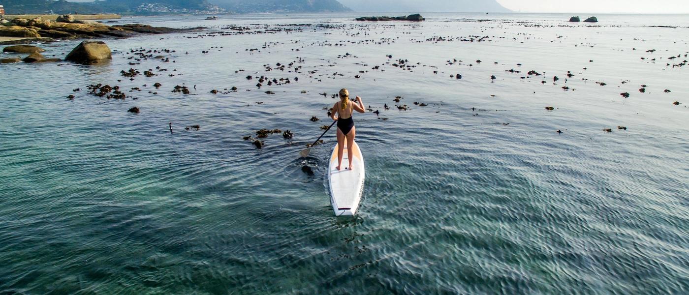 SUPing in Simon’s Town: The Ocean Like You’ve Never Seen Before