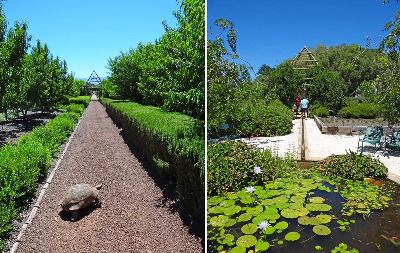The Babylonstoren garden is at the heart of the farm