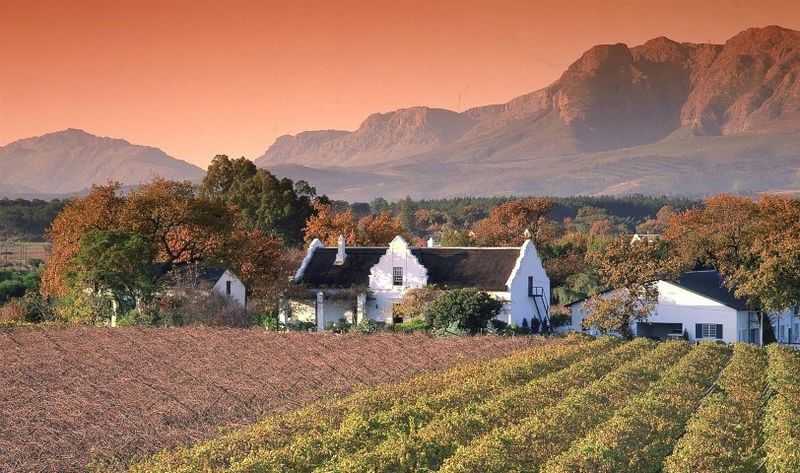 Vistas desde los viñedos de Paarl.