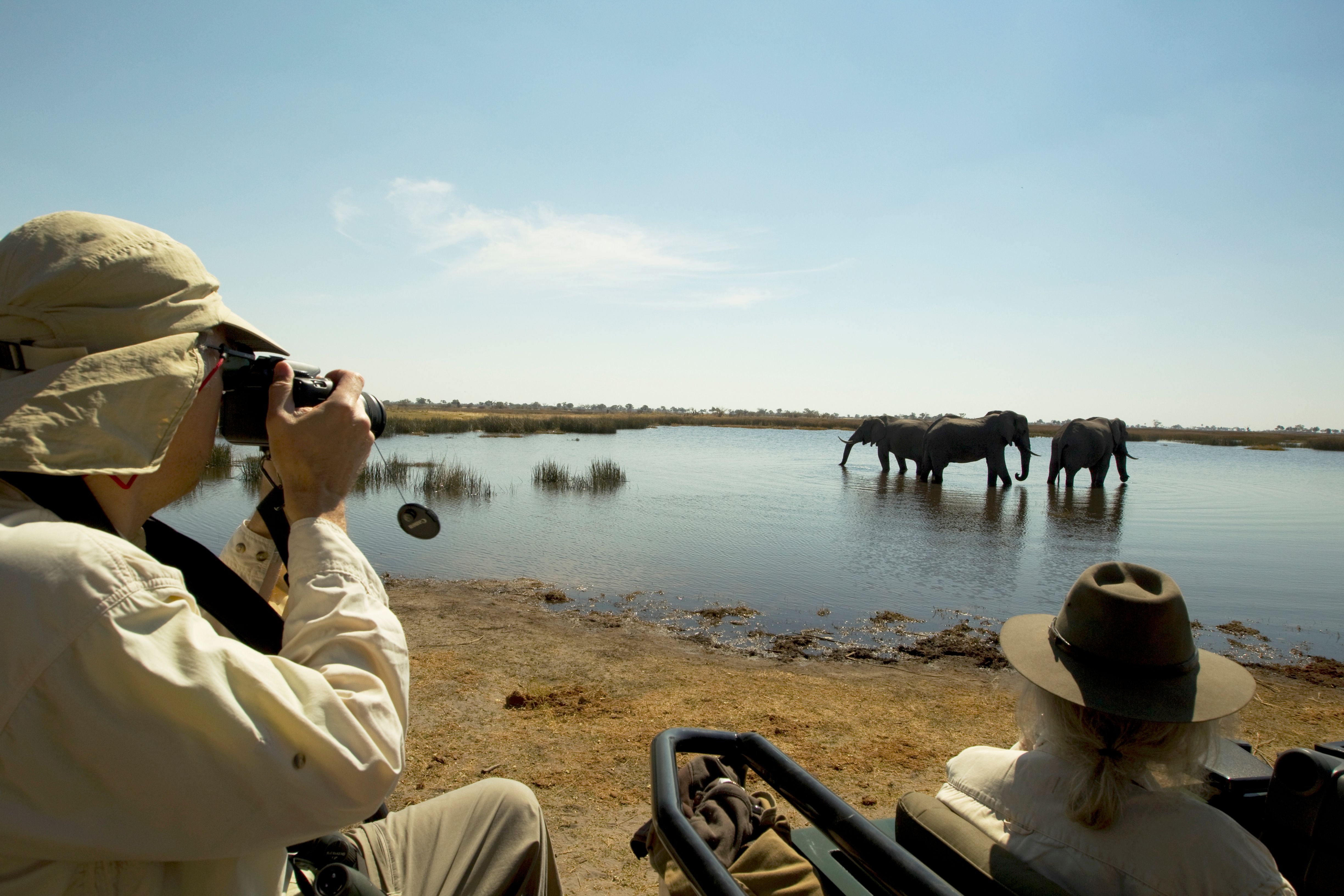 Wildlife Photography Safari in Botswana: Capture the Wild