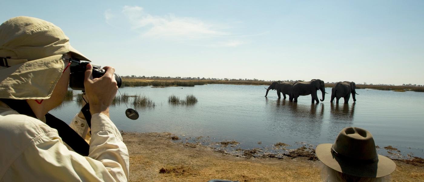 Wildlife Photography Safari in Botswana: Capture the Wild