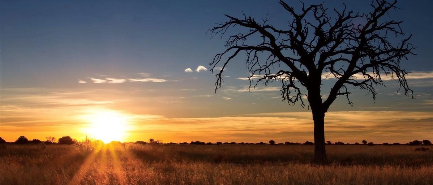 5 razones para visitar el desierto del Kalahari