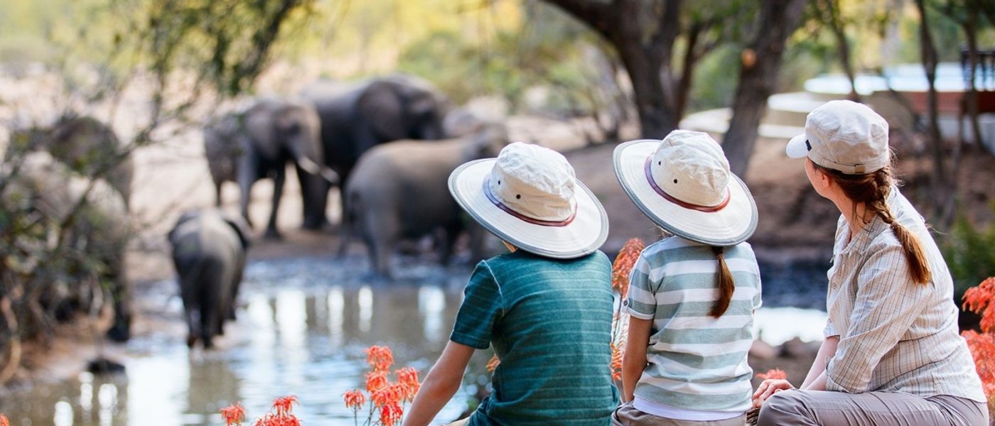 Wilderness Playground: O que esperar de um safári em família na África