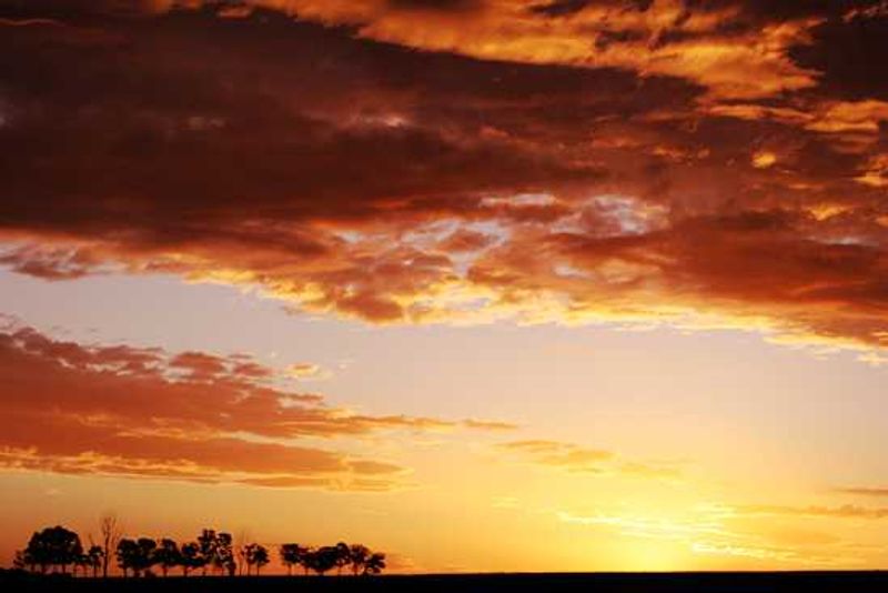 Behind the Lense - Billy Hare