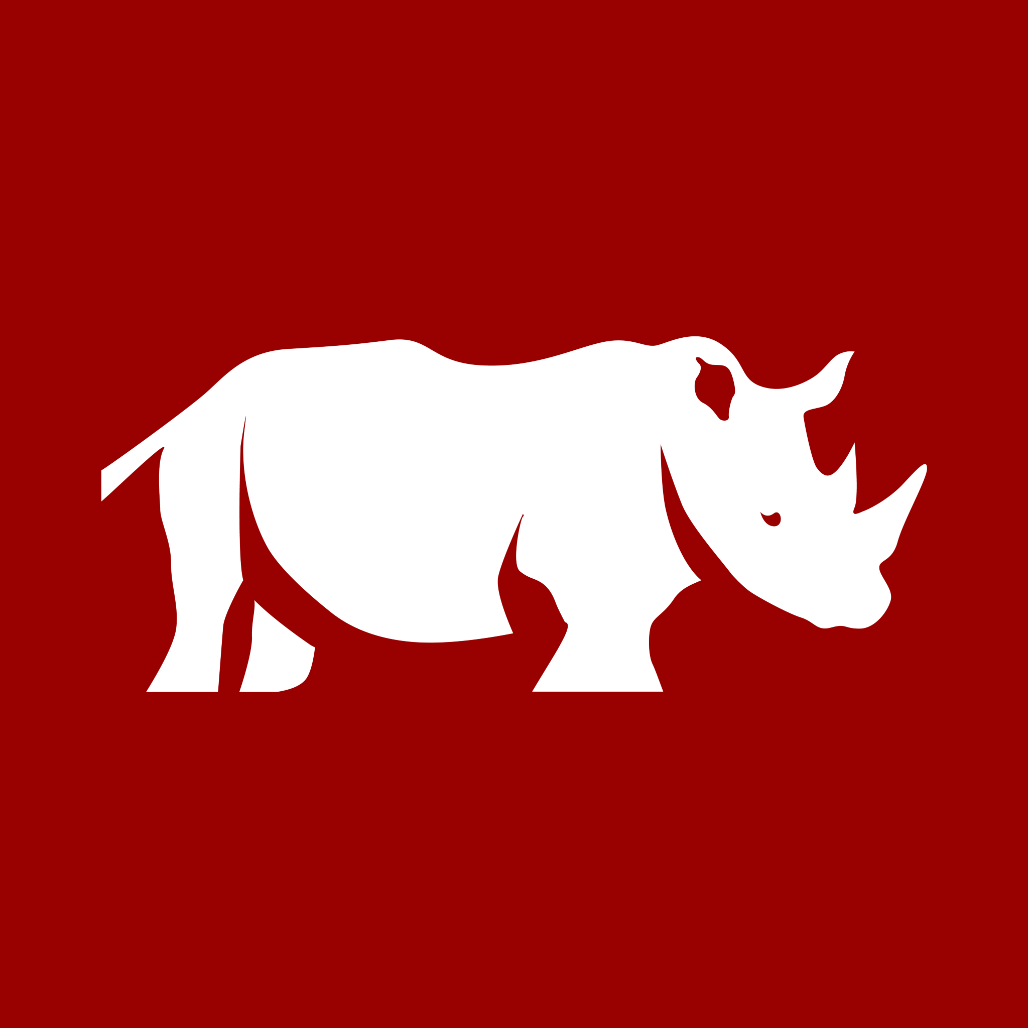 Rhino Africa