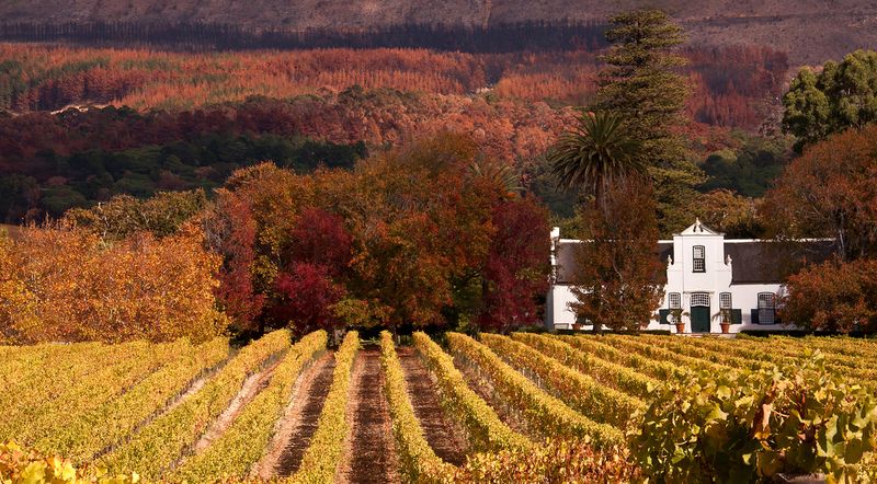 fotos_aus_kapstadt_weinland_herbst
