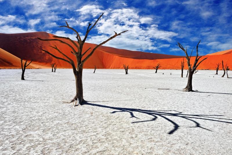 The dead trees of Sossuvlei in Namibia