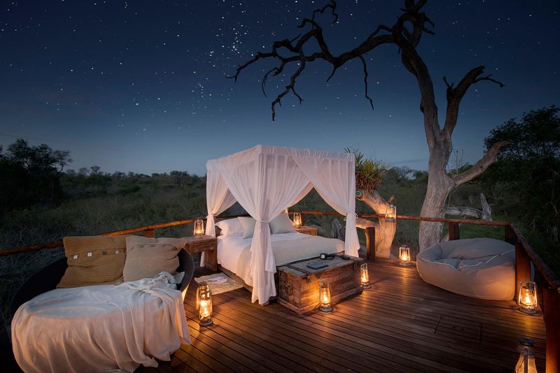Romance and Adventure in Africa - treehouse in Lion Sands