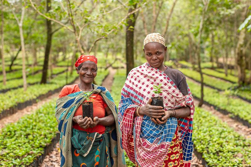 Two women stand among neat rows of young plants, each holding a coffee seedling that represents shared stewardship and opportunity created by the impact in Gorongosa.