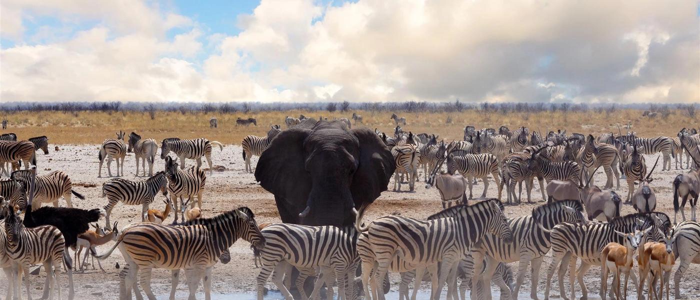 Os principais destinos da África Oriental