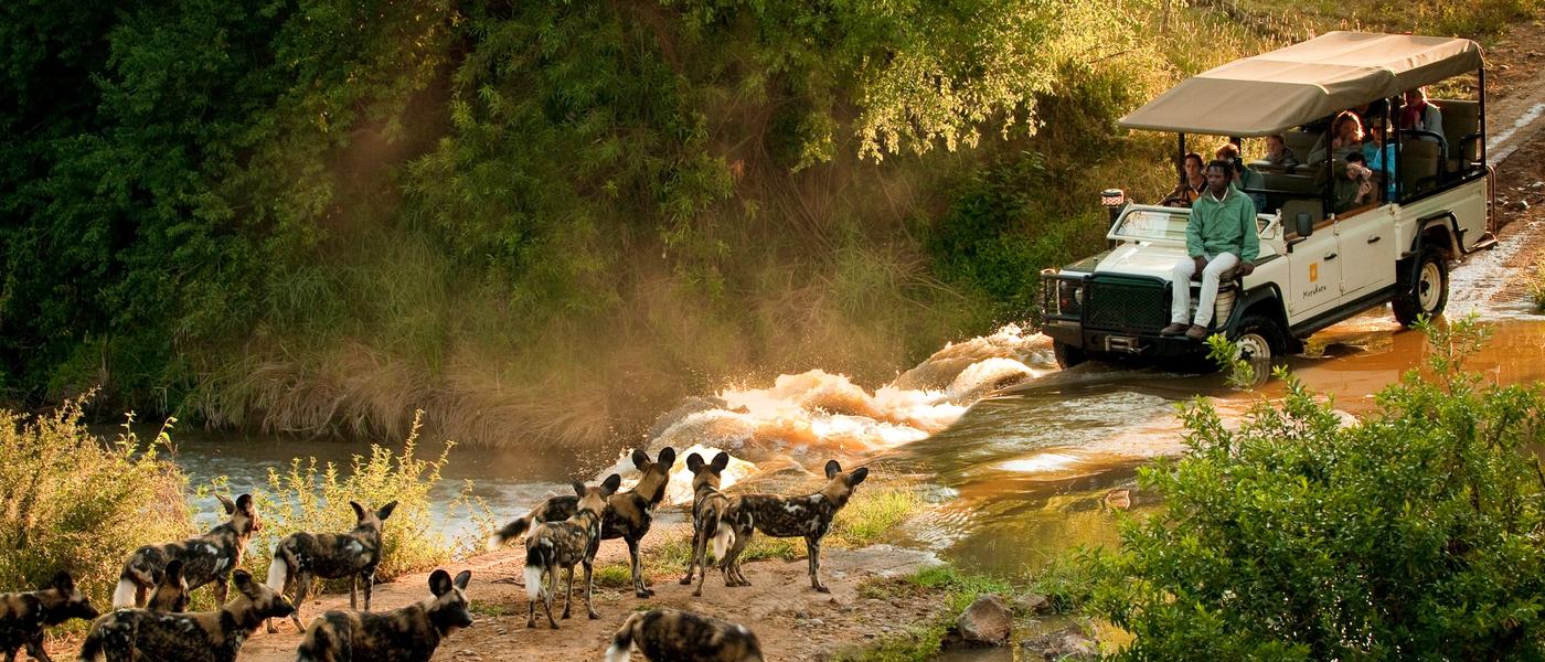 20 Years of Epic Family Safaris in Africa