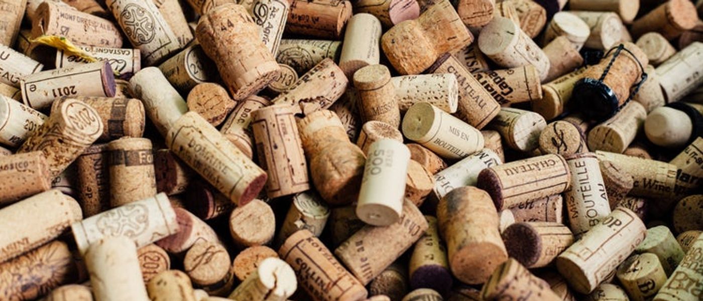 Weinprobe im Kap-Weinland - werden Sie mit uns zum Profi