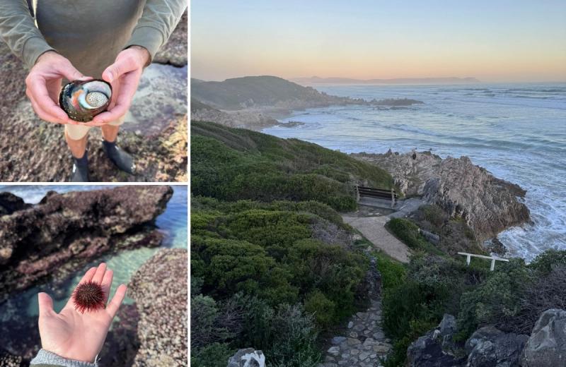 A collage shows hands holding delicate marine life, a rocky coastal path winding through fynbos, and waves breaking below, capturing the quiet discoveries of a South African honeymoon by the sea.