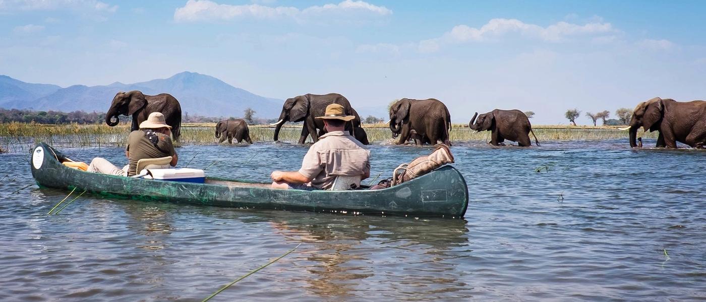 Vida selvagem e cachoeiras: passeios de safári na África Austral no Zimbábue e na Zâmbia