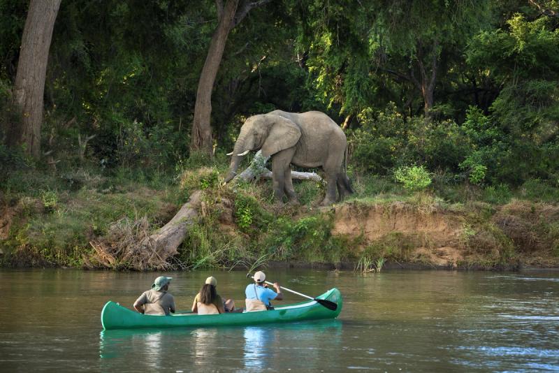 Les Big 5 depuis l’eau vous fera chavirer