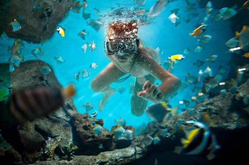 Boy exploring the reefs at Sodwana Bay near Phinda - one of the most unique places to travel