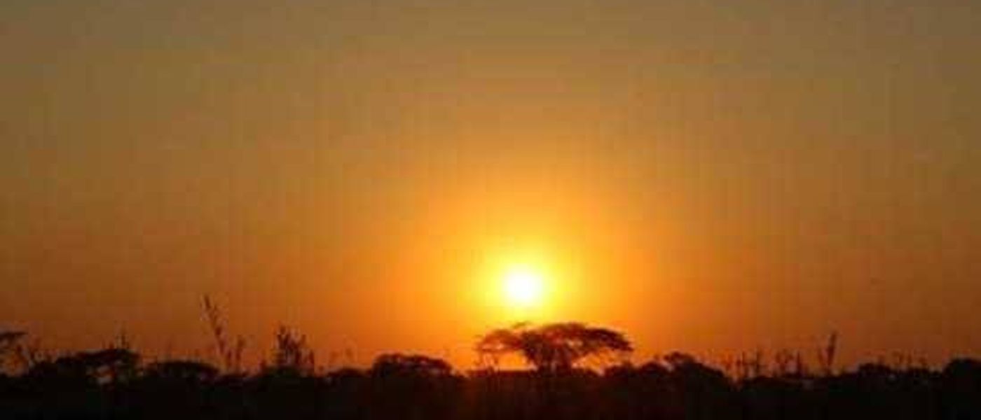 Johannesburg, Victoria Falls, Chobe - Part I
