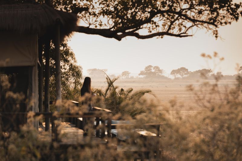 A woman stands on a wooden deck overlooking a dry African plain at dawn, with distant trees and grazing animals on the horizon