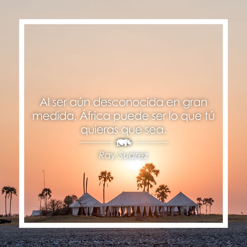 Frase sobre África de Ray Suarez