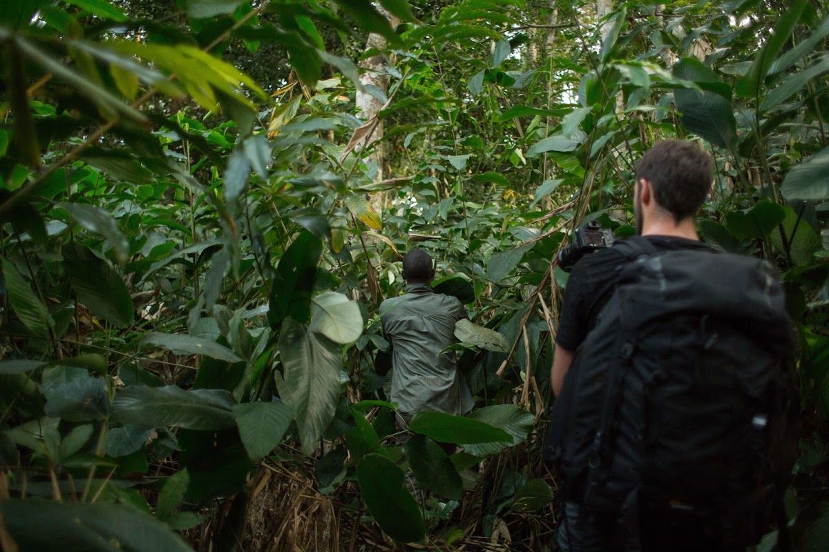 Las mejores actividades para hacer en el Congo