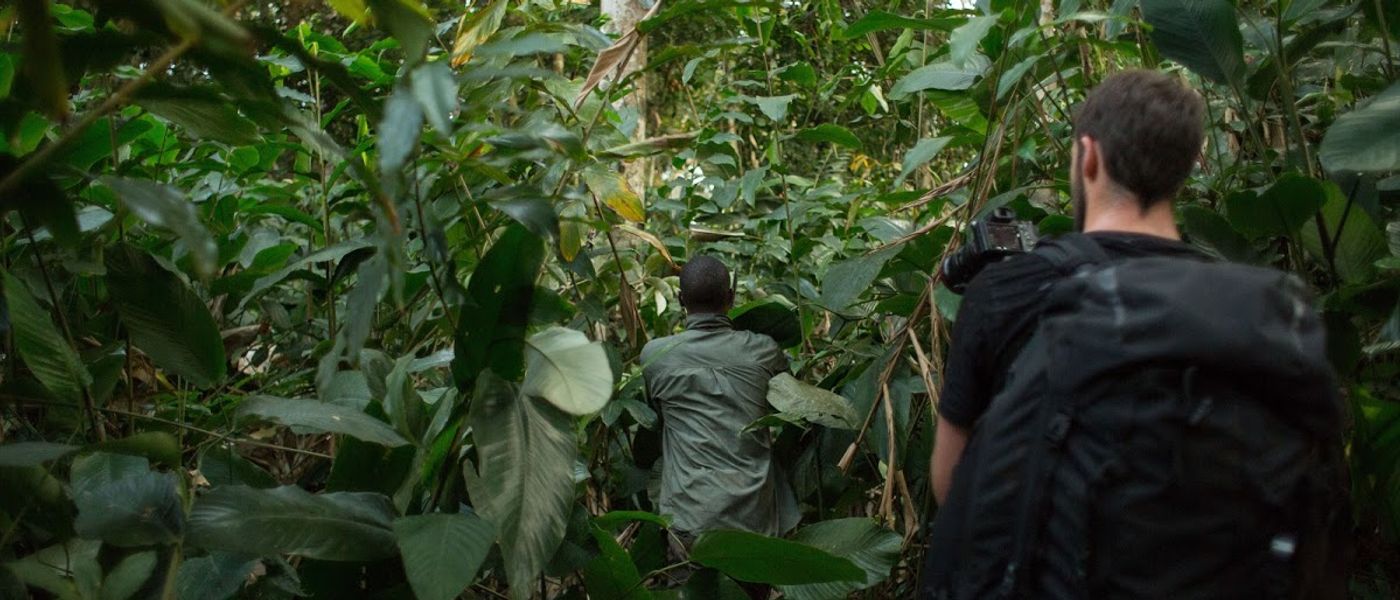 Las mejores actividades para hacer en el Congo