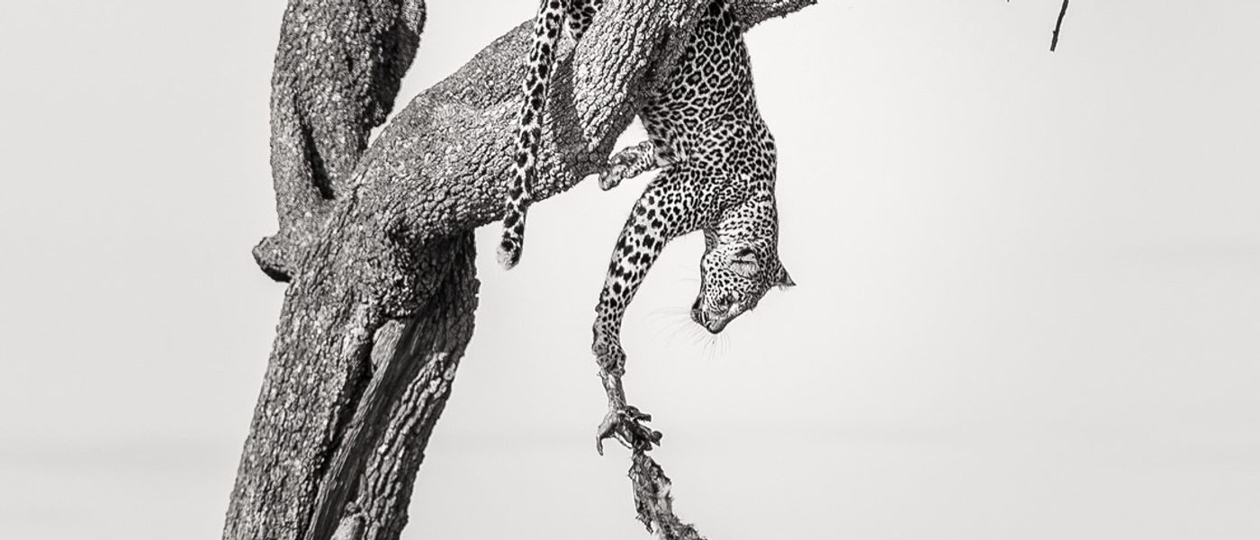 Interview mit dem Gewinner von Africa’s Photographer of the Year 2018