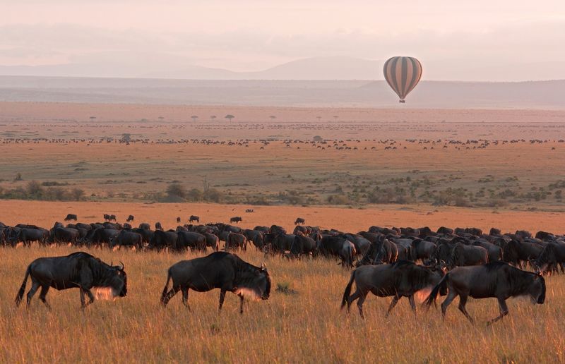 Hot Air Ballooning Serengeti National Park in Tanzania 