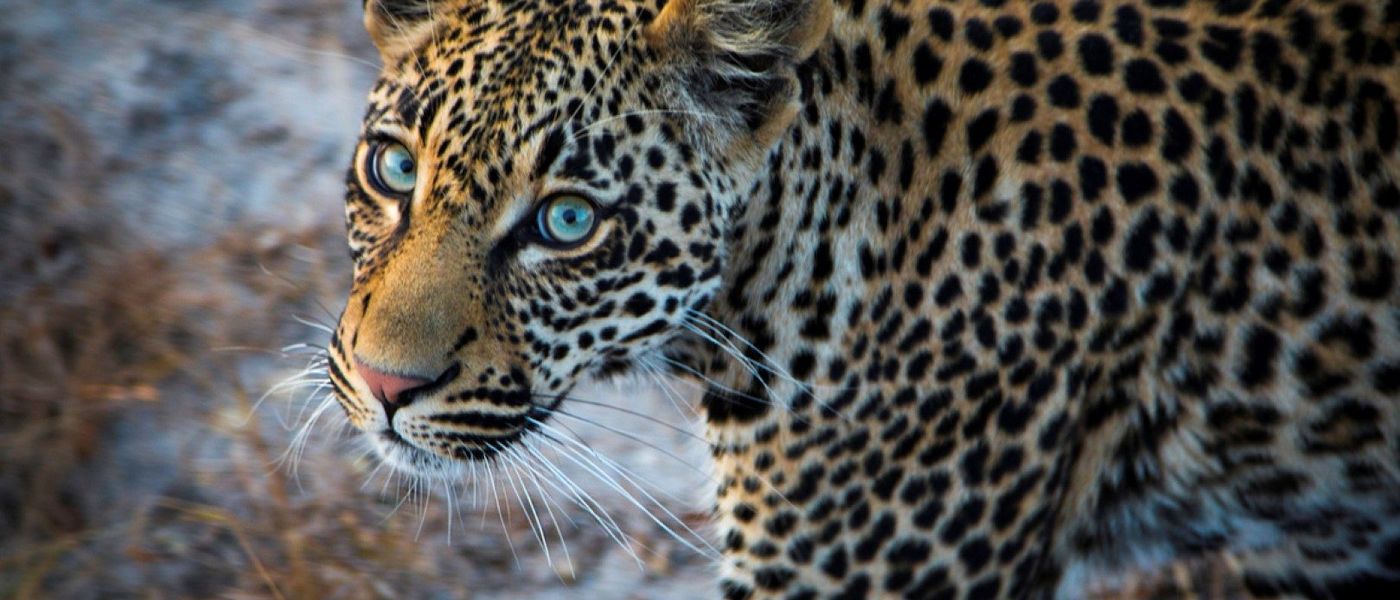 Africa's Photographer of the Year 2018