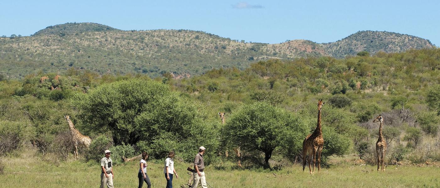 Madikwe - Une destination safari en Afrique du Sud sans paludisme