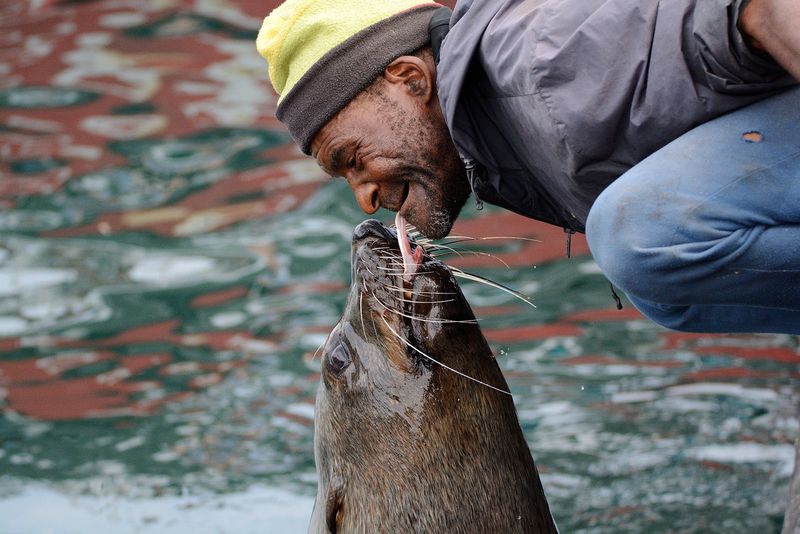fotos_aus_kapstadt_houtbay_hafen_fischer_seerobbe